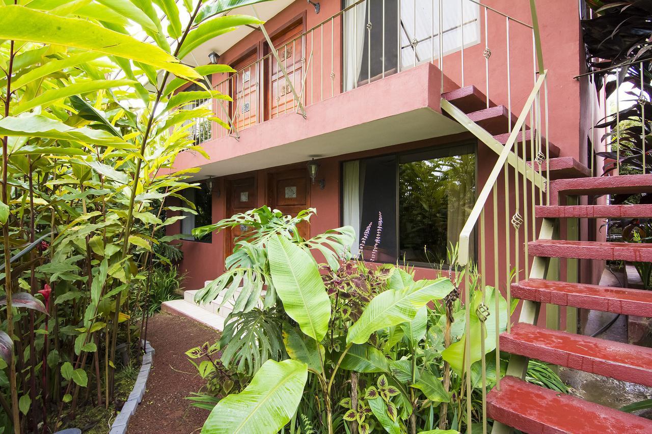 La Boruca Bed & Breakfast San Isidro  Eksteriør bilde